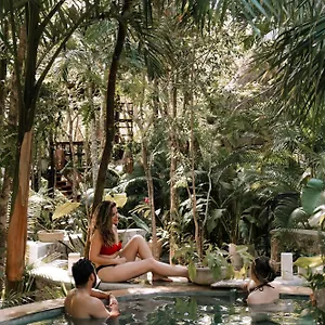  Lodge Anand Ecoaldea Mexiko
